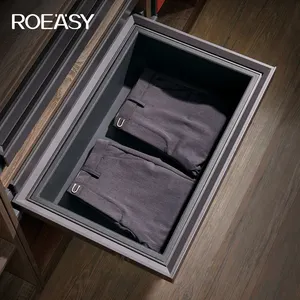 Roeasy เสื้อผ้ากล่องเก็บออแกไนเซอร์ดึงหนังตู้เสื้อผ้าอุปกรณ์ตะกร้าเก็บสําหรับเฟอร์นิเจอร์ภายในบ้าน