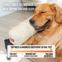 Lit pour chien et chat toutes saisons, lit de camping, lit carré surélevé pour animaux de compagnie, en polycoton, amovible et lavable, fournitures pour animaux de compagnie - Vente chaude