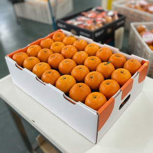 Arance Sanguigne Fresche Premium, Agrumi Dolci Naturali e Sani, Succose, Raccolte in Frutteto, Fornitura all'Ingrosso per l'Esportazione - Product Image 6