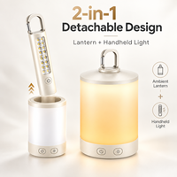 Lampu Camping LED RGB 2 in 1 Lepas Pasang Isi Ulang USB C Portabel, Lampu Tenda Genggam untuk Luar Ruangan, Grosir OEM ODM