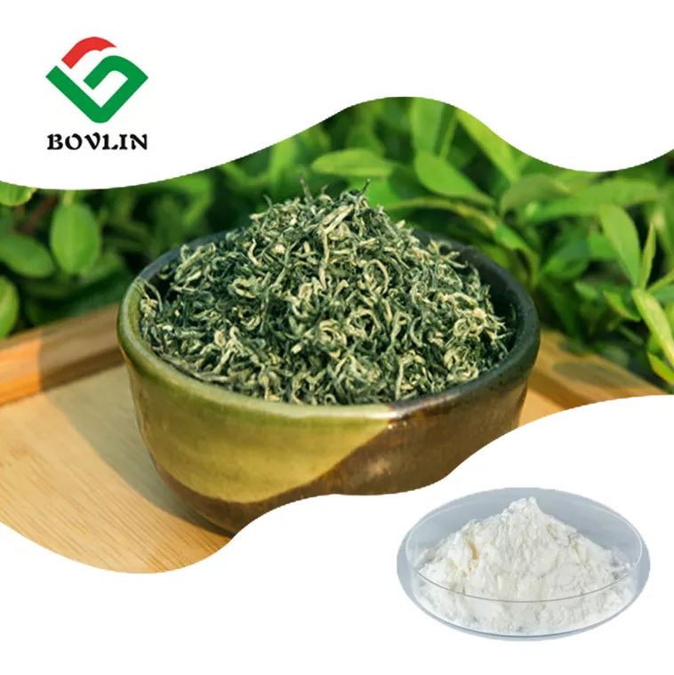Supply 3 4-Dihydroxybenzoic Acid Green Tea Extract CAS 99-50-3 Protocatechuic Acid Powder
