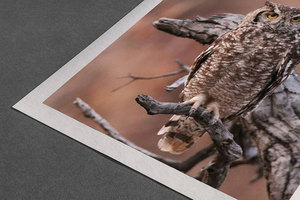 <span class=keywords><strong>Papier</strong></span> d'art en coton COLORWAY 300 g/m² Bulldog <span class=keywords><strong>pour</strong></span> impressions Giclée de qualité muséale - Product Image 6