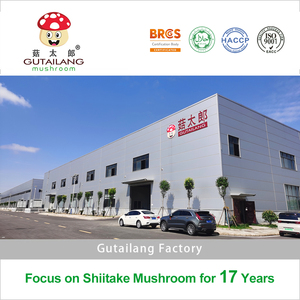 Champignons Shiitake Séchés en Usine, Meilleure <span class=keywords><strong>Vente</strong></span>, Spécial Soupe, Mini Champignons Shiitake Séchés, Champignons Déshydratés à Vendre - Product Image 3