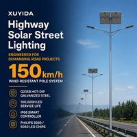 Lampadaire Solaire LED OEM ODM en Alliage d'Aluminium IP66 avec Batterie LiFePO4, Panneau Séparé sur Poteau, Système Routier Extérieur Personnalisé