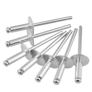 Grands rivets à tête ronde 4,8x16x16, rivets tubulaires pleins en aluminium norme DIN, finition de surface brillante de qualité 4 - Product Image 1