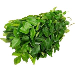 Poudre de thé vert fabriquée à partir de vraies feuilles de thé et parfois de saveurs naturelles, offrant des flavonoïdes, des catechines ou des ingrédients artificiels - Product Image 5