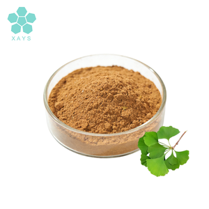 Factory Supply Natural <strong>Ginkgo</strong> <strong>Biloba</strong> <strong>Extract</strong> Powder - Product Image 2