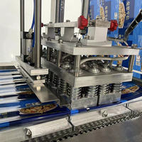 18 ans de personnalisation professionnelle en usine Machine de remplissage de tasses d'eau minérale Machine à sceller les tasses Machine de production d'eau pour les tasses