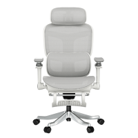 Chaise de bureau ergonomique pivotante de direction, entièrement en maille, avec dossier haut et accoudoirs 5D, personnalisable, de haute qualité, en gros