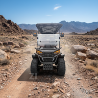 Quad électrique tout-terrain intelligent 6 places à énergie solaire, fabriqué en Chine, certifié CE, batterie au lithium, vitesse 30-50 km/h, modèle 2026