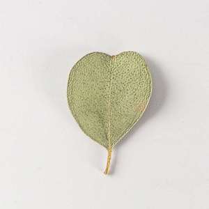MNR2086 Dried and Pressed <strong>Heart</strong> Shape Eucalyptus Leaves <strong>for</strong> Resin DIY <strong>Craft</strong> Suppliers - Product Image 5