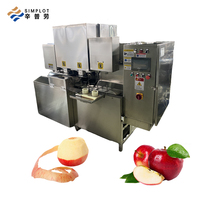 Automatische appel- en peren snijder, ontpitter, schiller, sinaasappel- en kaki-ontpitter, fruitenschil- en scheidingsmachine