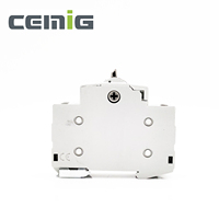 CEMIG alta calidad 2P 63A 230/400VAC Modular Dual Power interruptor aislador de transferencia Manual interruptores de instalación de riel Din