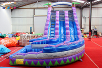 Toboggan aquatique gonflable Winsun, double piste, aire de jeux pour enfants, en PVC, certifié CE, ignifuge, imperméable, sans plomb