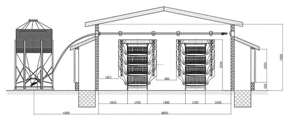 Nhà cung cấp bán hàng trực tiếp pullet chăn nuôi lớp trứng gà lồng ấp lồng cho bé đẻ gà - Product Image 5