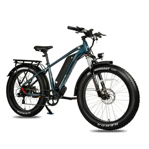 2023 750 Вт Электрический велосипед с широкими шинами/Снежный электровелосипед/Электрический пляжный велосипед модный дизайн для горной езды