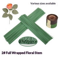 Vente Chaude 2024 : Grillage galvanisé pour fournitures florales, fil floral revêtu de PVC et fil floral pour tiges, pour fournitures de jardinage