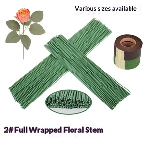 Oferta 2024: Alambre Floral Galvanizado, Alambre Floral Recubierto de PVC y Alambre para Tallos Florales para Suministros de Jardinería - Product Image 3
