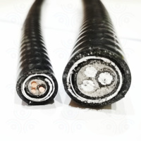 Kabel Daya Berlapis Baja Tembaga Terpilin CSA Certificate TECK 90 XLPE 6 Gauge 500 MCM 2 AWG 3 Konduktor