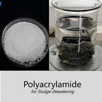 Agente de Suspensión Lubricante de Polímero Catiónico PAM de Poliacrilamida 100% Pura de la Marca Greenland para el Tratamiento de Aguas Residuales y Lodos