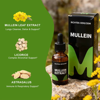 Minyak Esensial Mugwort Murni - Mugwort Manis dengan Daun Mullein, Akar Licorice, Akar Astragalus Suplemen Herbal Premium