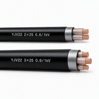 Câble de commande et d'alimentation blindé en cuivre YJV22 2 conducteurs 0,6/1 kV 2*2,5 mm² 2*4 mm² 2*6 mm² pour système de commande électrique 2*10/2*16
