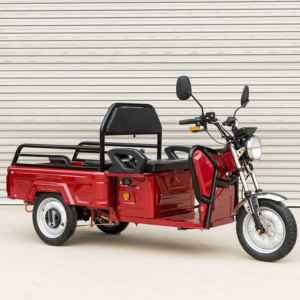Hot Selling Passenger Tricycle for Tourism Transport - Product Image 1