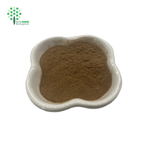 Đen cohosh chiết xuất từ rễ 2.5% triterpene saponin cimicifuga racemosa chiết xuất bột - Product Image 2