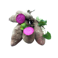 Poudre d'UBE de qualité alimentaire, prix en gros, poudre d'igname violette 100% naturelle, poudre d'UBE d'igname violette