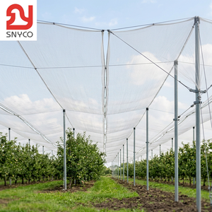 Filet anti-grêle robuste en rouleau 100 % HDPE vierge anti-UV pour l'extérieur, protection des cultures, des arbres fruitiers et des vergers - Product Image 2