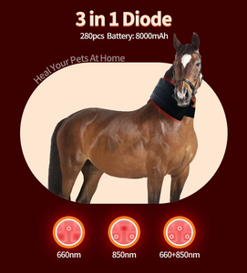 Pulso sem fio cavalo cabeça perna pés terapia luz infravermelha Hoof cavalo classe 4 terapia a <span class=keywords><strong>laser</strong></span> equino Redlight terapia cavalo - Product Image 3