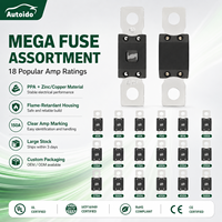Mégafusible 20A à 500A 32V CC 72V CA à haute capacité de coupure, protection à déclenchement lent pour véhicules électriques, équipements miniers et navals