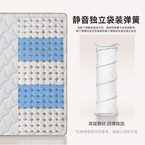 Latex Spring <b>Mattress</b> 20cm Thick Medium Firm Orthopedic <b>Support</b> For Home Use - Product Image 3