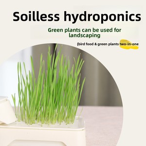 Snacks de Cuerda de Cáñamo Antideslizante con Semillas de Hierba Germinada Comestible para Loros, Juguete para Pájaros, Alivio <span class=keywords><strong>del</strong></span> Aburrimiento, Autoentretenimiento - Product Image 2