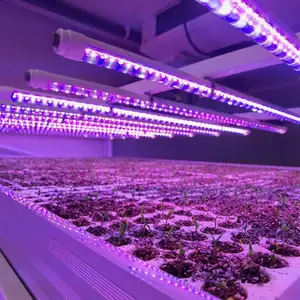Sansi LED 조명 제조업체 전체 스펙트럼 조도 조절이 가능한 LED 전구 성장 라이트 스트립 실내 온실, 묘목