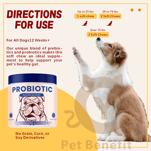 Probiotiques à croquer pour chiens, qualité OEM/ODM supérieure, pour la santé <span class=keywords><strong>intestinale</strong></span>, CFU, soulage rapidement la <span class=keywords><strong>diarrhée</strong></span> et la constipation - Product Image 4
