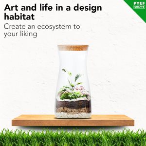 PYEF Crafts DIY <span class=keywords><strong>Terrarium</strong></span> für Erwachsene 34 Floz 1-Liter-Glasekosystem mit Sukkulenten Luft pflanzen Fittonia Fern Vase - Product Image 2
