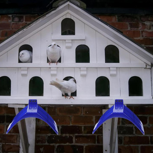 Nuevo soporte de palomas para Hábitat de palomas y loros, accesorios de jaula de pájaros de acero inoxidable para mascotas, incluido el tipo de artículo de cuenco para perros - Product Image 3