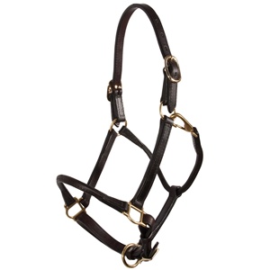 Licol de cheval en cuir pur personnalisé rembourrage souple et accessoire de haute qualité d'exportation à triple couture - Product Image 5