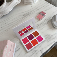 Palet Blush 6 Warna Tahan Air Merk Sendiri Private Label, Bedak Padat DIY untuk Rias Wajah