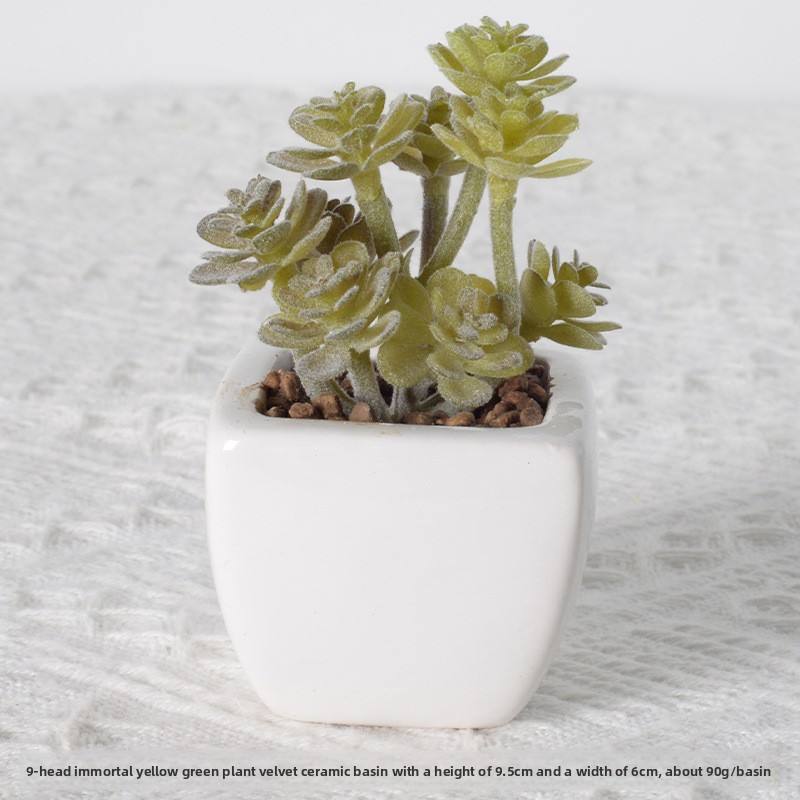 อ่างเซรามิกสีเขียวเหลืองอมตะ9หัว5