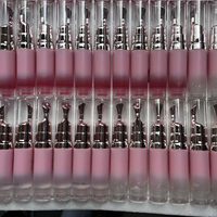 Gloss à lèvres hydratant et repulpant, transparent, nude, huile à lèvres végane pour un maquillage naturel quotidien, gloss teinté brillant, soin des lèvres OEM, marque privée