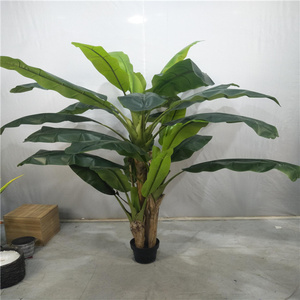 Offre Spéciale d'usine à <span class=keywords><strong>prix</strong></span> raisonnable Vente <span class=keywords><strong>en</strong></span> gros <span class=keywords><strong>Bananier</strong></span> artificiel <span class=keywords><strong>en</strong></span> <span class=keywords><strong>pot</strong></span> à haute simulation de Chine pour la décoration intérieure moderne - Product Image 4