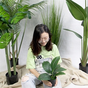 Artificiale di plastica piante di <span class=keywords><strong>casa</strong></span> <span class=keywords><strong>verde</strong></span> in vaso per la decorazione della <span class=keywords><strong>casa</strong></span> - Product Image 2