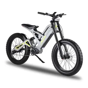 New Model Mukuta Knight 1200W 52V20Ah City Ebike Road Cheap Electric Bike 24 Inch 55km/h Fast Electric Bike