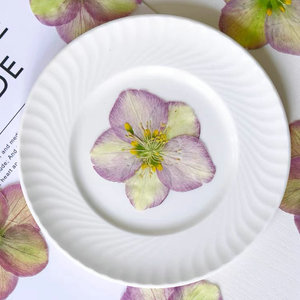 Carte de fleur pressée hellébore tibétain faisant des fournitures bijoux en résine cadre de plante naturelle - Product Image 3