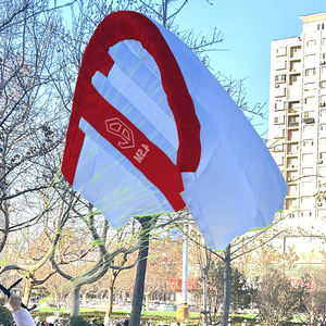 Parawing 4M <span class=keywords><strong>Kitesurf</strong></span> pour débutants Surf Skateboard Kite Wind Foil Parapente Downwind Surfboard Efoil Wingfoil Wiing - Product Image 5