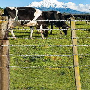 <span class=keywords><strong>Anping</strong></span> các nhà sản xuất dây thép gai sắt giá vải mét dây thép gai CuộN nhúng nóng mạ kẽm gai dây - Product Image 4