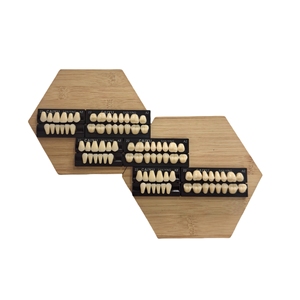 Caiyu Handmatige Stroombron Tand Valse Tanden Volledige <span class=keywords><strong>Set</strong></span> Twee Lagen Fabrieksprijs Acrylhars Tanden Van De Fabrikant - Product Image 6