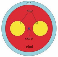 Broadband S+C+L Band Hollow Core Fiber 1064nm Hollow Core Fiber Miniature Hollow Core Fiber Array 1310nm Hollow Core Fiber